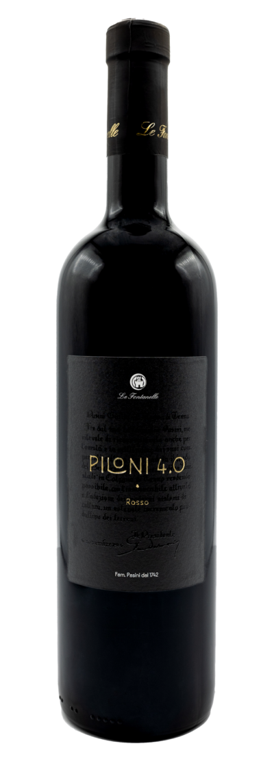 Piloni 4.0