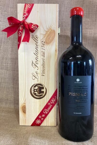 Magnum Piloni 4.0
